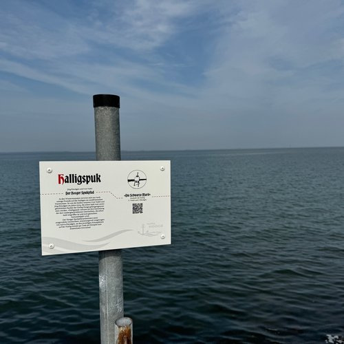 Halligspukschild Westerwarft