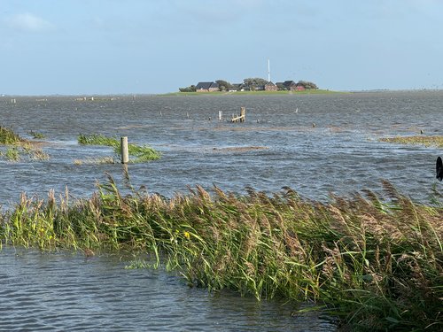 Landunter Blick Ockenswarft