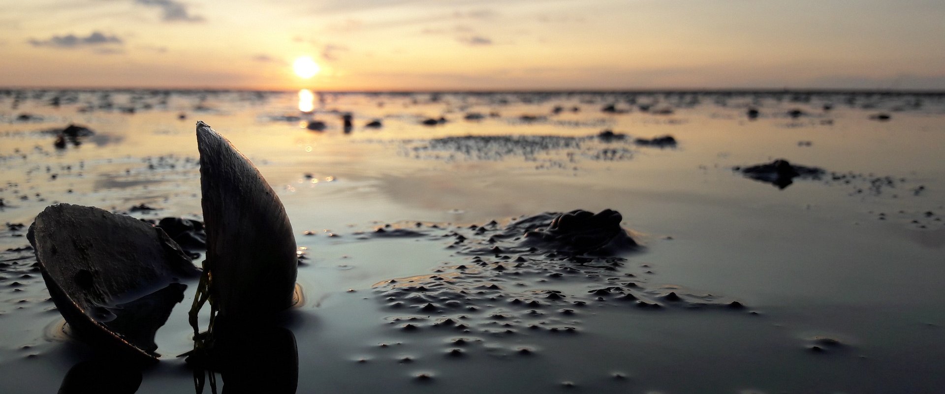 Wattenmeer