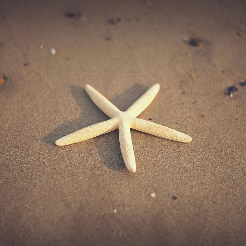 mike-kenneally-NXB51Lc1RdM-unsplash
